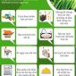 BÀI TUYÊN TRUYỀN VỀ AN TOÀN THỰC PHẨM