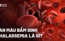 BÀI TUYÊN TRUYỀN HƯỞNG ỨNG NGÀY THALASSEMIA THẾ GIỚI 08/05/2024